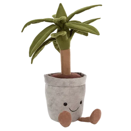 Amuseable Dragon Tree