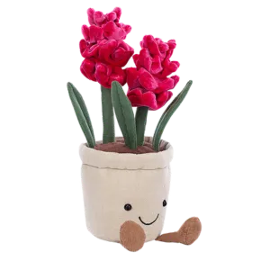 Amuseable Hyacinth