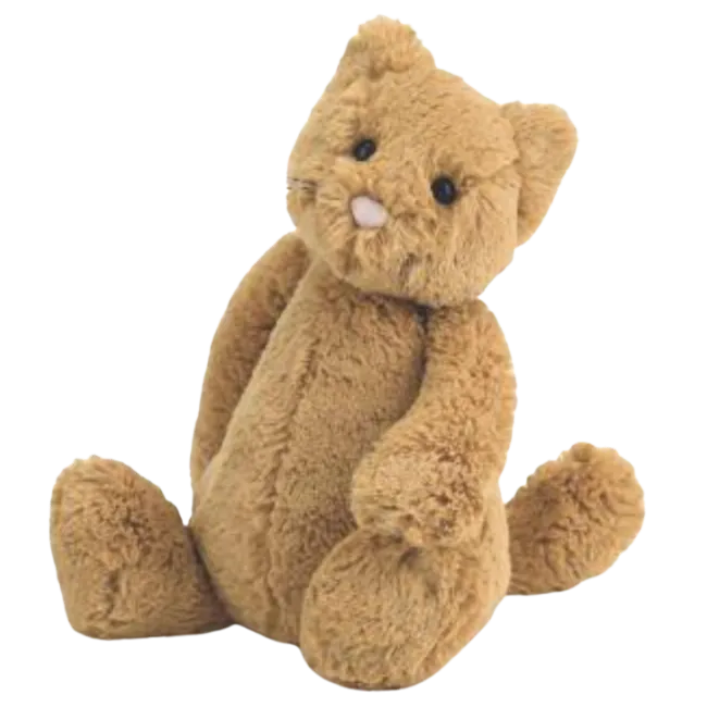 Bashful Ginger Cat