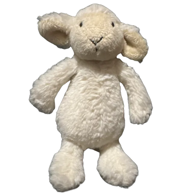 Bashful Lamb - Tiny
