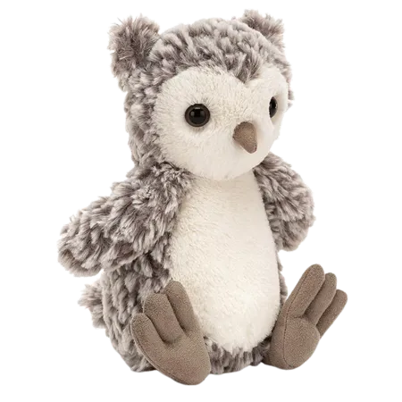 Barney Owl Chick