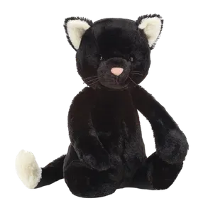 Bashful Black Kitten