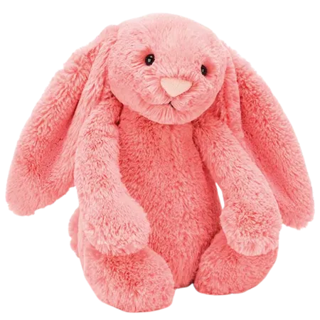 Bashful Coral Bunny - Medium