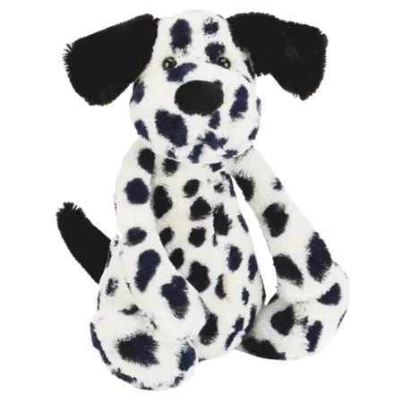 Bashful Dalmatian