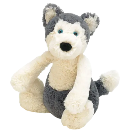 Bashful Huskie
