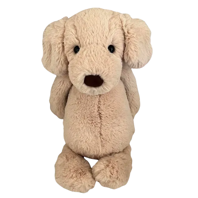 Bashful Labrador