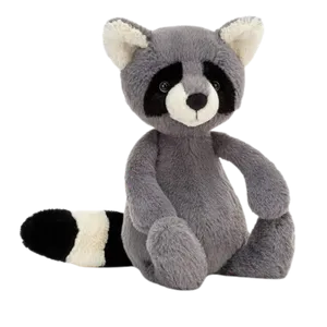 Bashful Raccoon