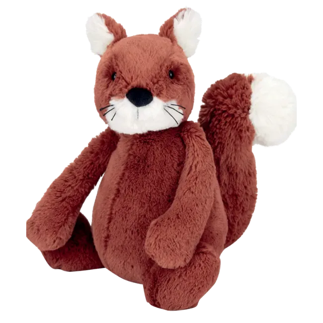 Bashful Squirrel - Whiskers