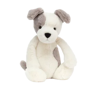 Bashful Terrier