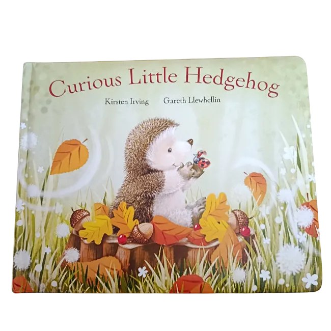 Curious Little Hedgehog Book