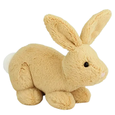 Bouncy Bop Bunny