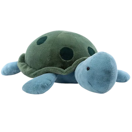 Big Spottie Turtle