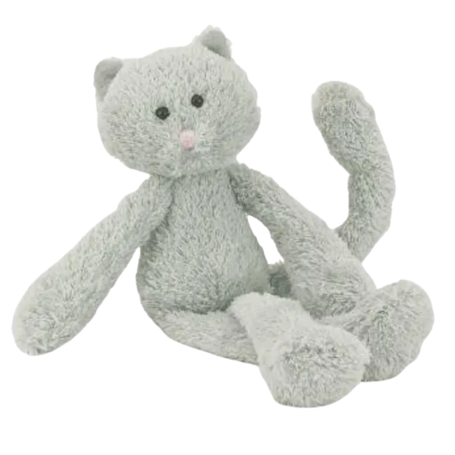 Chimboo Kitten