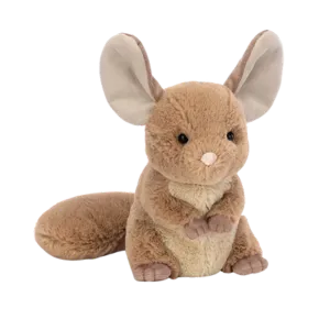 Chandler Chinchilla