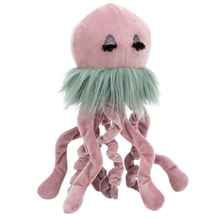 Curiosity Jellyfish