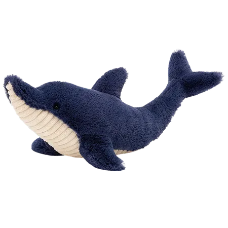 Dana Dolphin