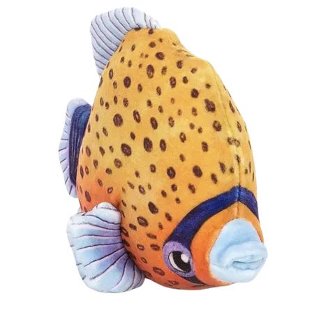 Fishiful Orange
