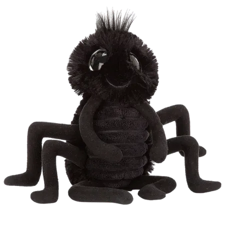 Frizzles Spider