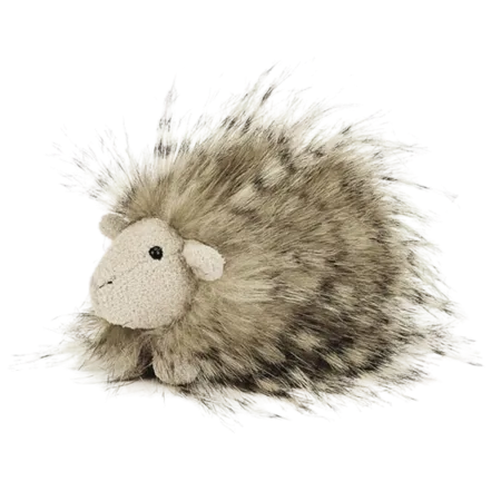 Fluffy Gorgeous Guinea Pig