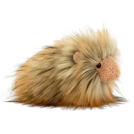 Gordon Guinea Pig
