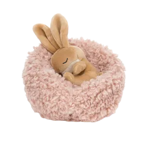 Hibernating Bunny