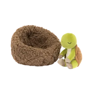 Hibernating Tortoise