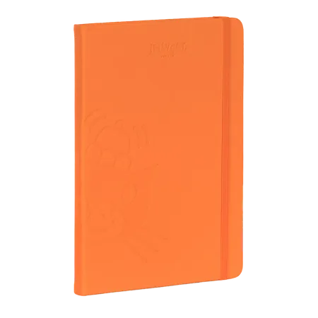 A5 Sunset Notebook