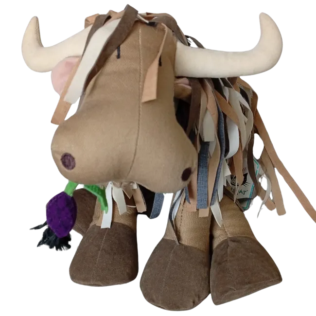 Jock the Highland Cow