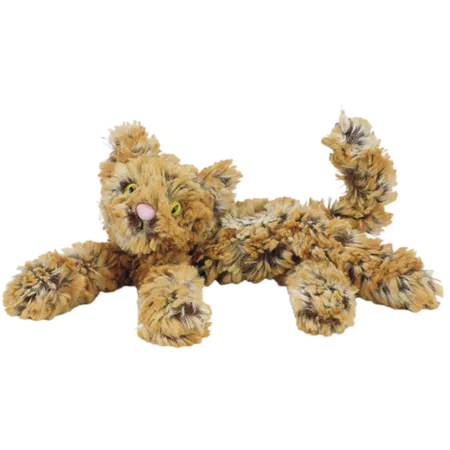 Ginger Kooky Cat