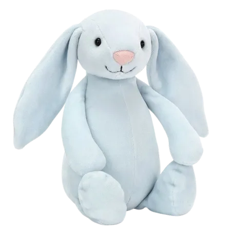 My Blue Bunny