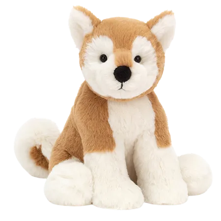 Milo Shiba Inu
