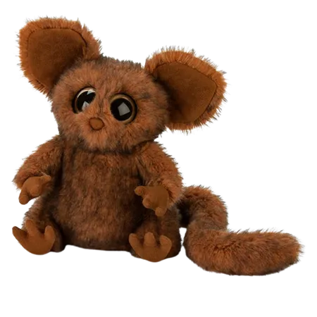 Nocturne Bush Baby