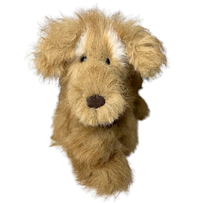 Scruffles Rescue Dog