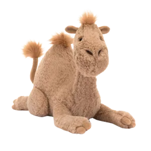 Richie Dromedary