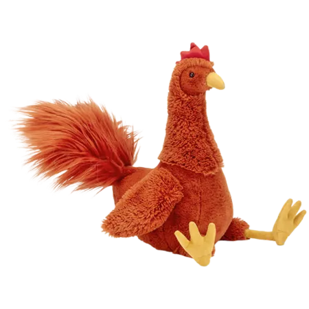 Robbie Rooster