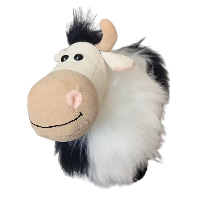 Shaggy Cow
