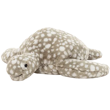 Shelby Sea Turtle