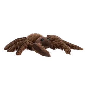 Spindleshanks Spider
