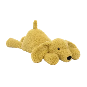 Splootie Puppy