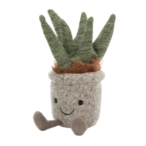 Silly Succulent Aloe