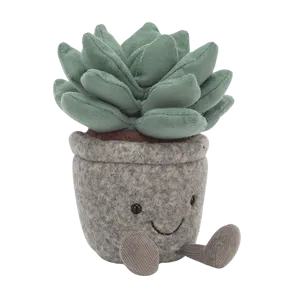 Silly Succulent Azulita