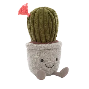 Silly Succulent Barrel Cactus