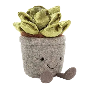 Silly Succulent Jade