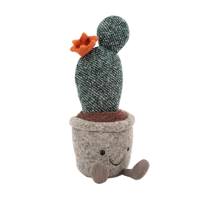 Silly Succulent Prickly Pear Cactus