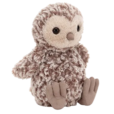 Torvill Owl Chick