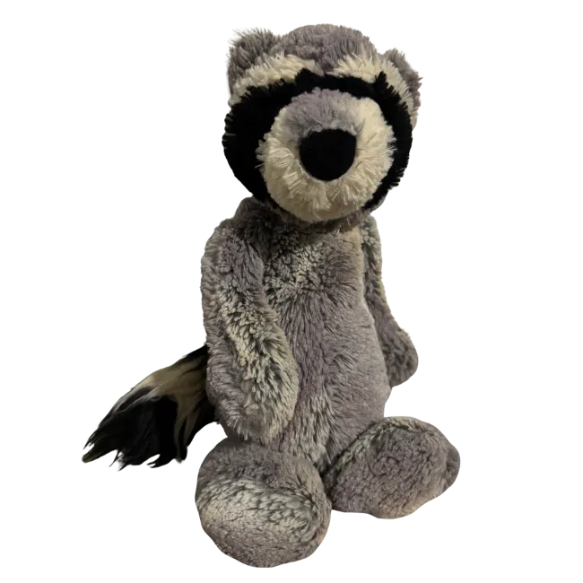 Bashful Woodland Babe Raccoon