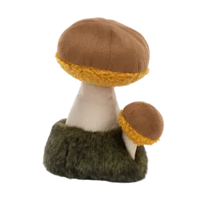 Wild Nature Boletus Mushroom