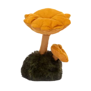 Wild Nature Chanterelle Mushroom