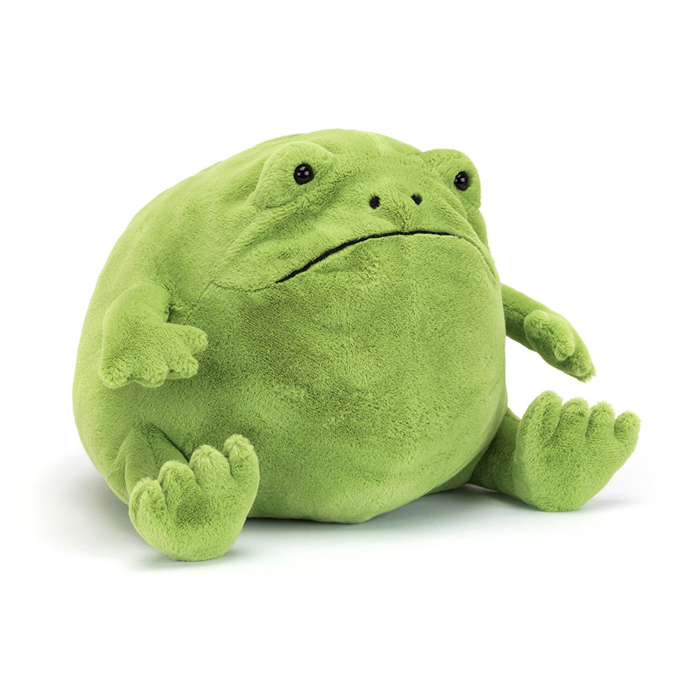 Ricky Rain Frog — image 3