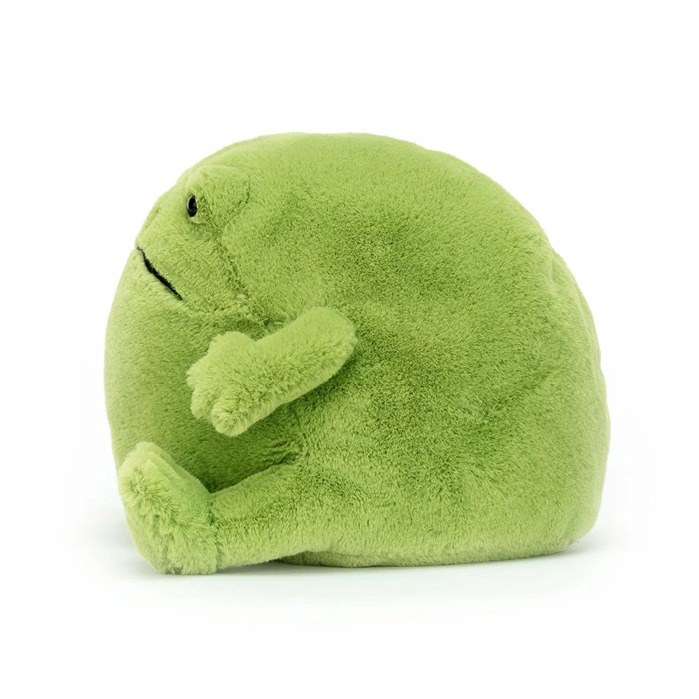 Ricky Rain Frog — image 4